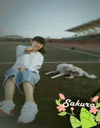 y҃(ni)O(sh)Ӌ(j)|yO(sh)Ӌ(j)