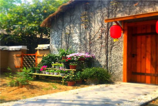 y҃(ni)O(sh)Ӌ|y҃(ni)O(sh)Ӌ