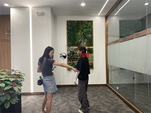 �y���k�����b���O(sh��)Ӌ(j��)�(xi��ng)Ŀ|�N���O(sh��)Ӌ(j��)