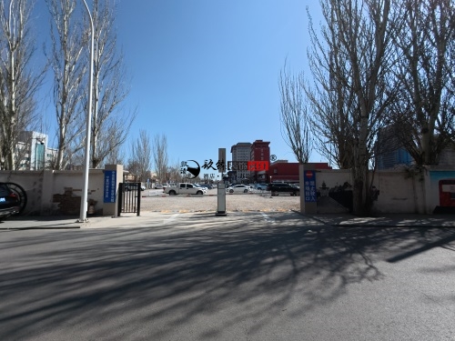 yt(y)^O(sh)Ӌ(j)b(xing)Ŀ|Nb